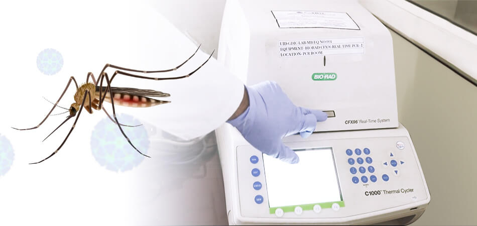 Molecular confirmation of Chikungunya Virus: By Real TimePCR (RT-PCR) Technique